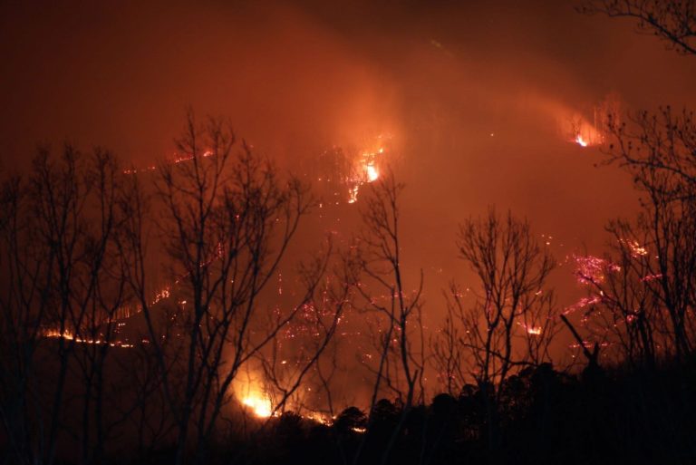 A nighttime scene of a wildfire with bright orange flames and smoke engulfing a forested area. Bare tree branches are silhouetted in the foreground, highlighting the intense glow of the fire.